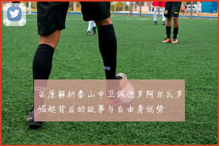 苗原解析泰山中卫佩德罗阿尔瓦罗崛起背后的故事与自由身优势